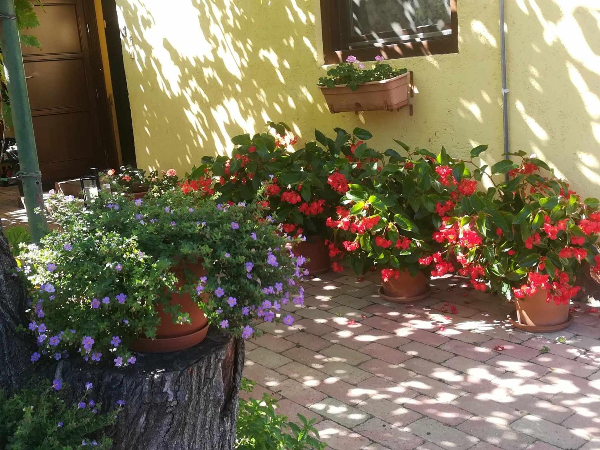 Muskátlis Ház Balatonlelle Exterior foto